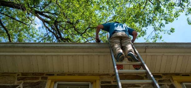 Home Ladder Safety