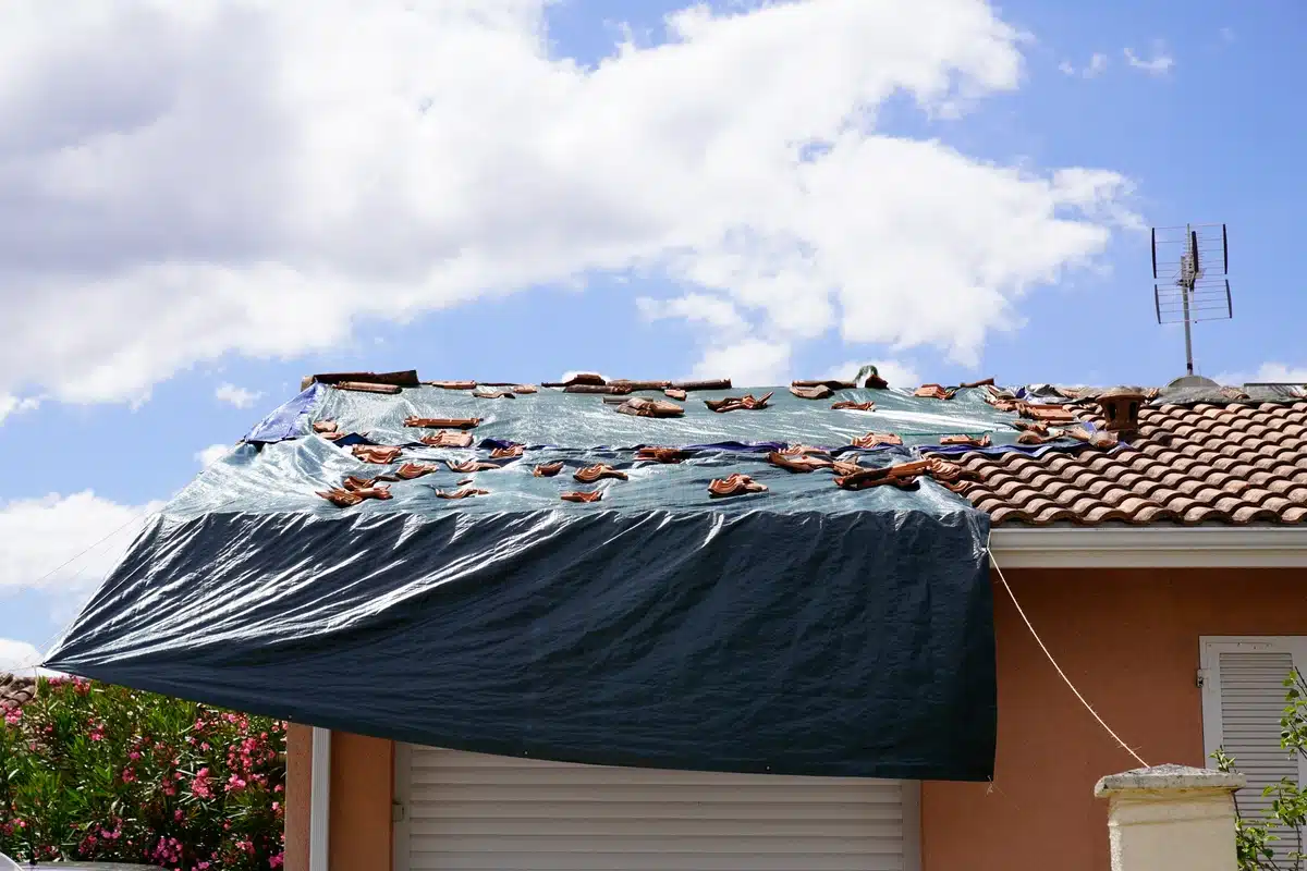 tarp roof